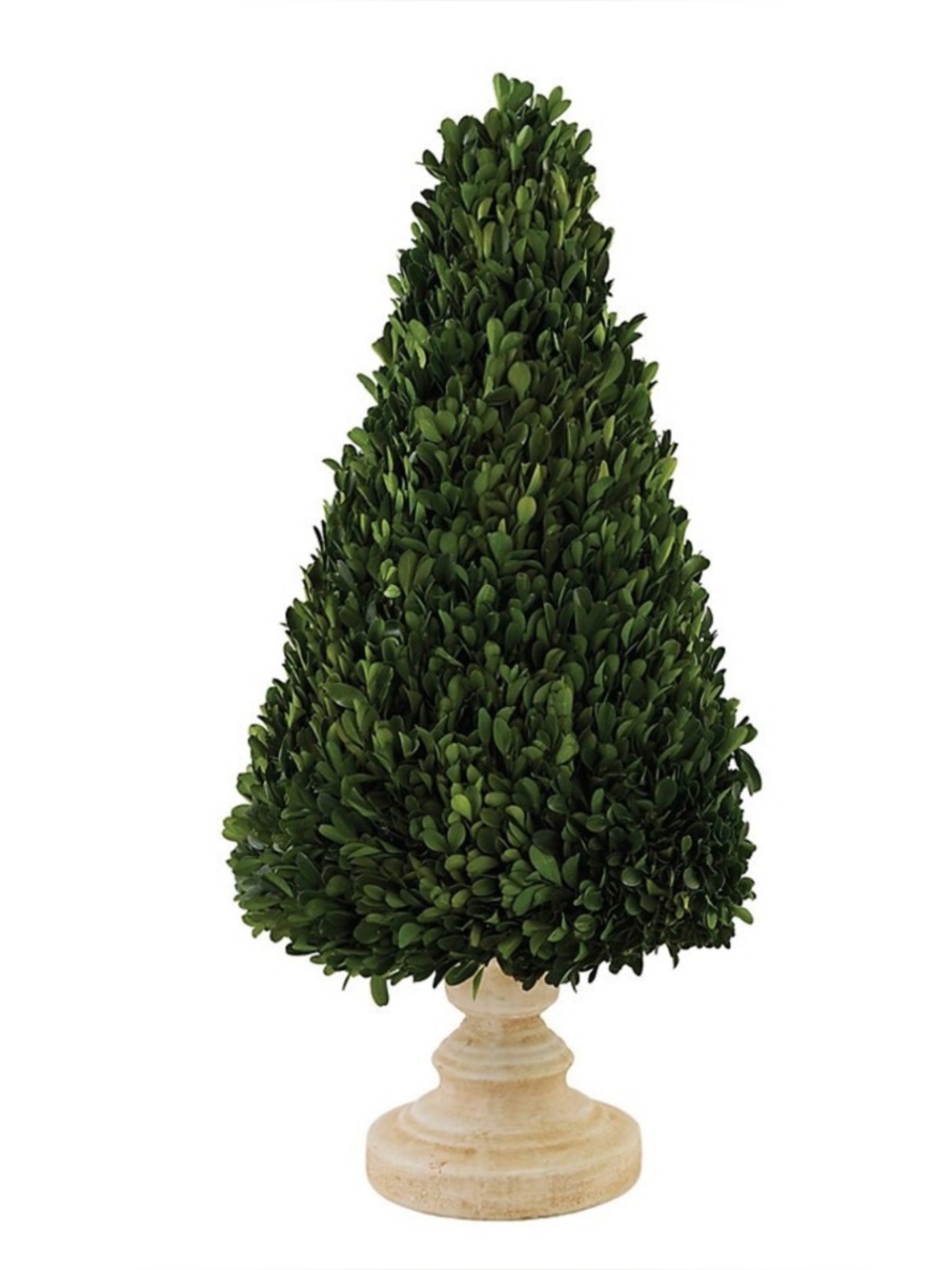 Ballard Designs Green Boxwood Cone Topiary on Pedestal